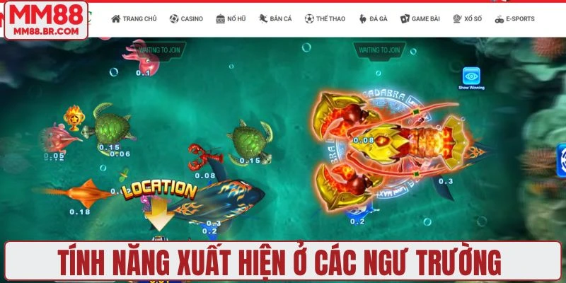 Tính năng xuất hiện ở các ngư trường